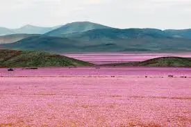 Atacama Desert Map 