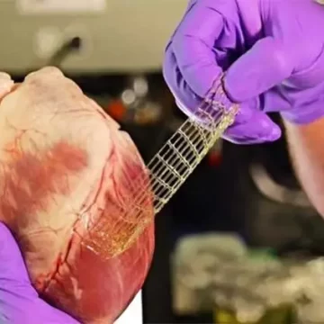 3D-Printed Flexible Patch Paves the Way for Advanced Tissue Repair