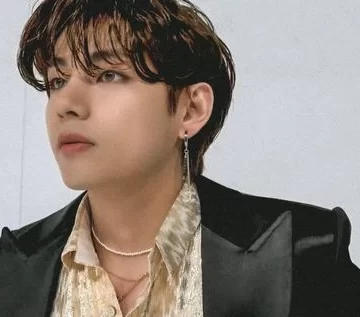 Kim Taehyung fashion